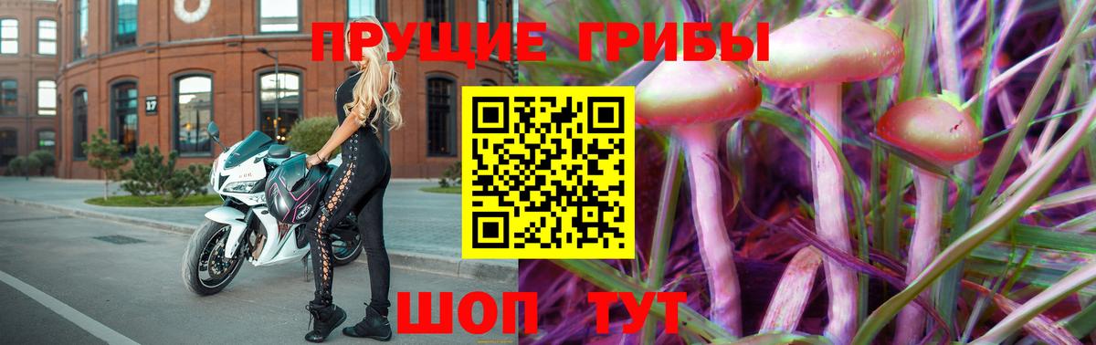 Псилоцибиновые грибы MAGIC MUSHROOMS  Вход с VPN  закладки  Троицк 